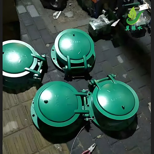 小型玻璃钢拍门