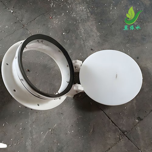 聚乙烯塑料拍门
